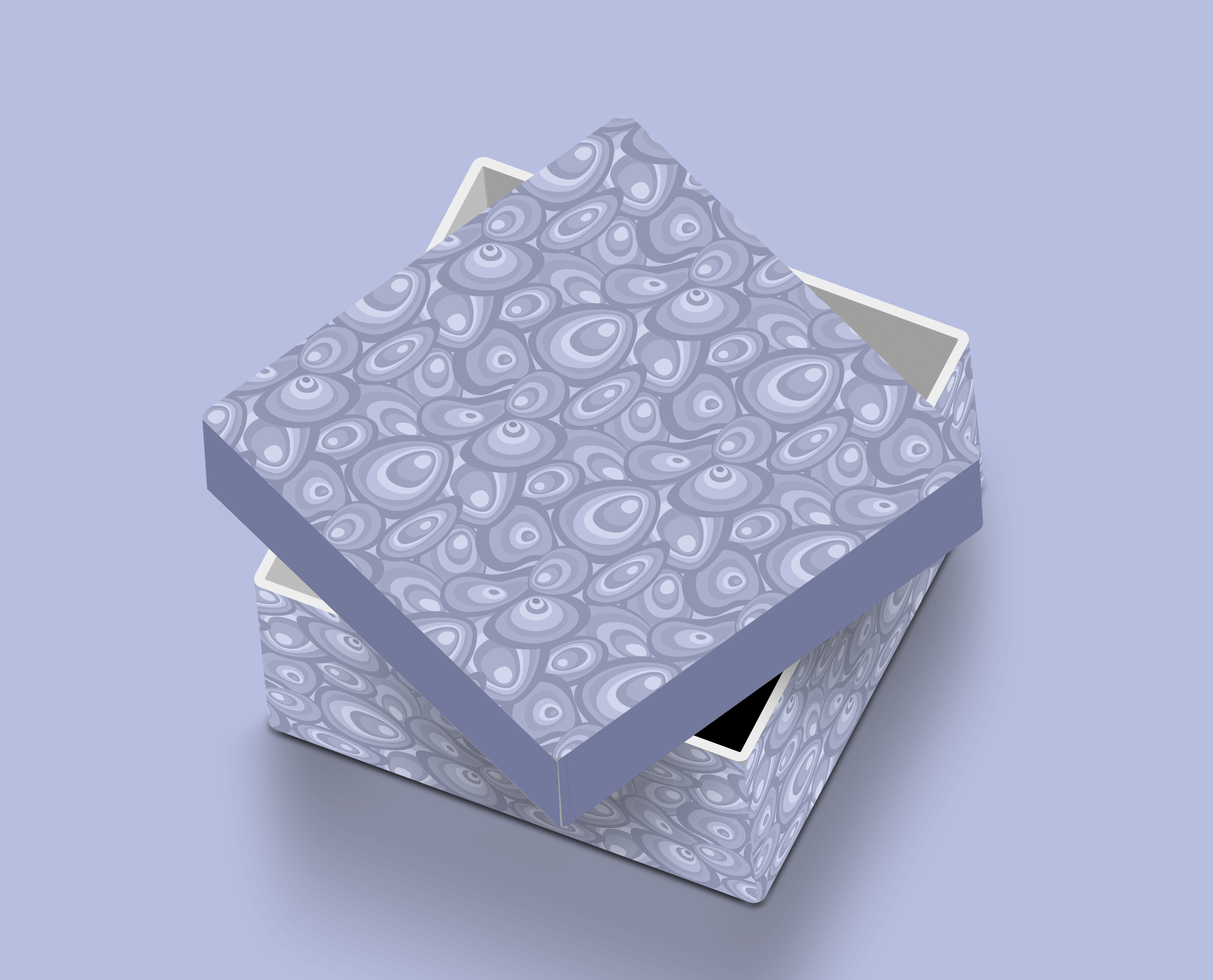 Setup Box